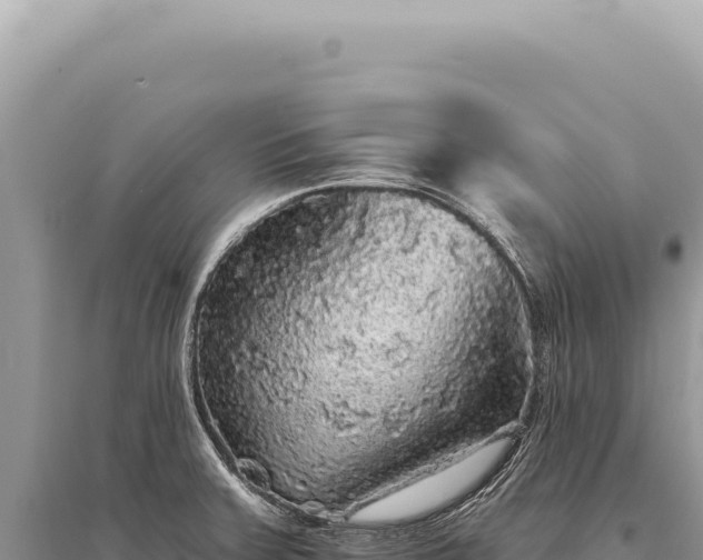 X0000095511379200712211230