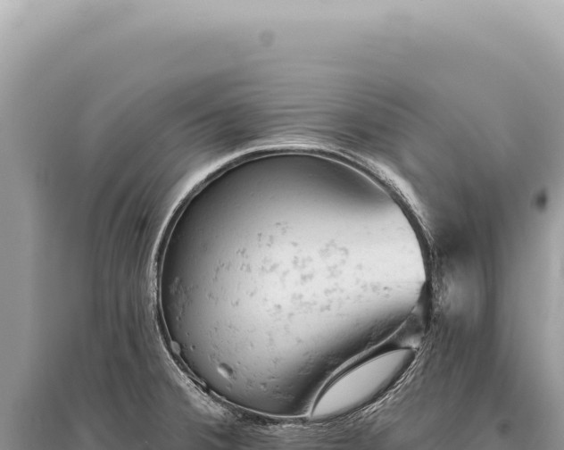 X0000095511380200712211230