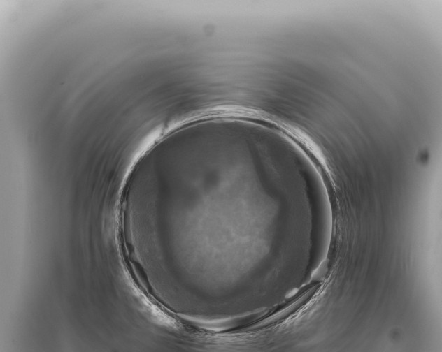 X0000095511381200712211230
