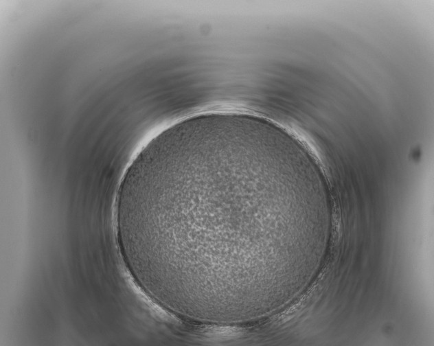 X0000095511382200712211230