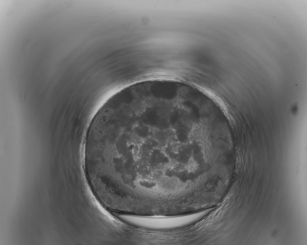 X0000095511383200712211230