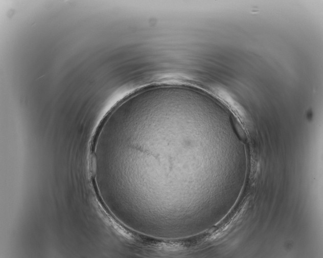 X0000095511384200712211230