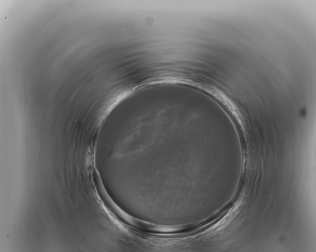 X0000095511385200712211230