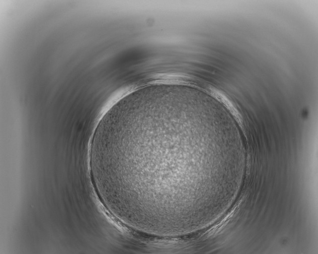 X0000095511386200712211230