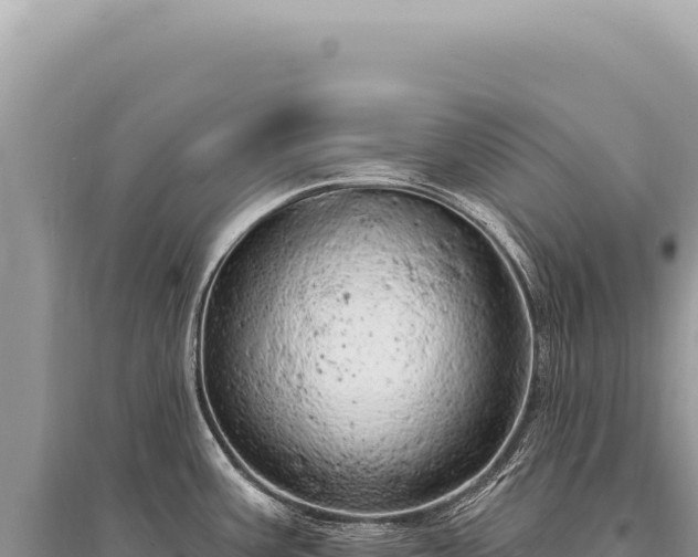 X0000095511387200712211230