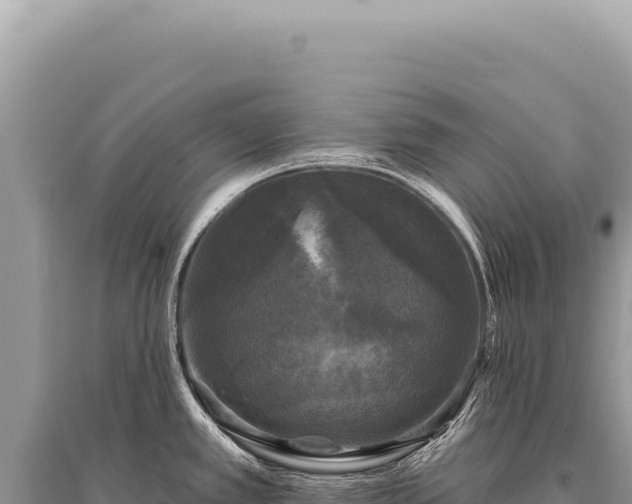 X0000095511389200712211230