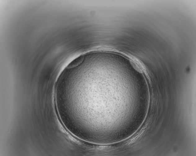 X0000095511390200712211230