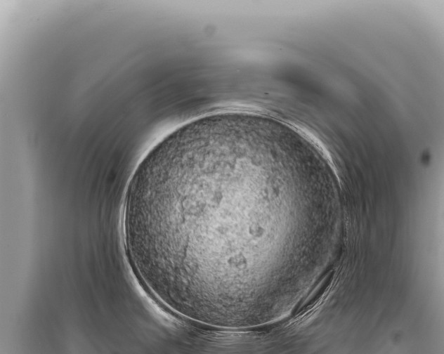 X0000095511391200712211230