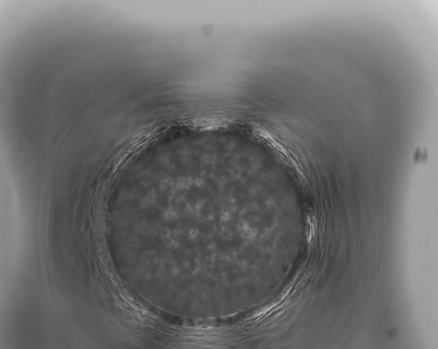 X0000095511393200712211230