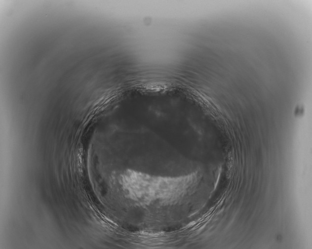 X0000095511394200712211230