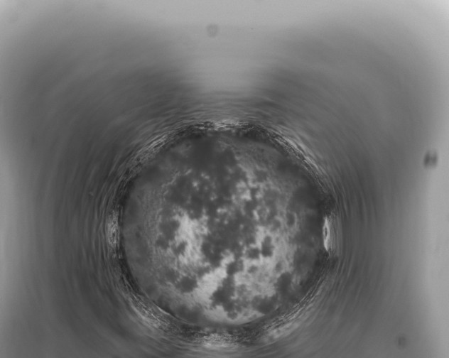 X0000095511395200712211230
