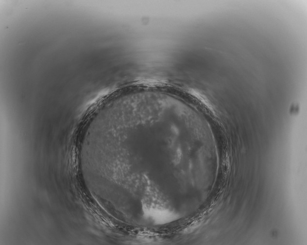 X0000095511398200712211230