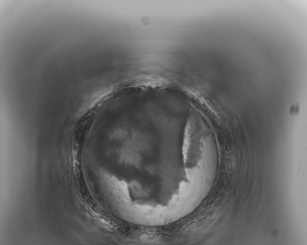 X0000095511399200712211230