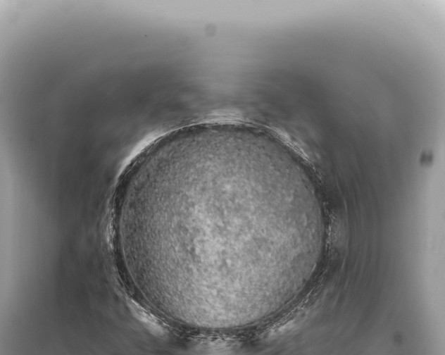 X0000095511400200712211230