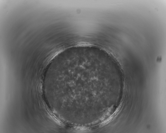 X0000095511401200712211230