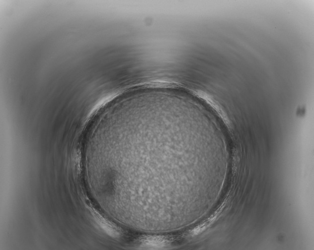 X0000095511402200712211230
