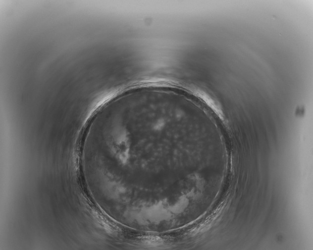 X0000095511405200712211230