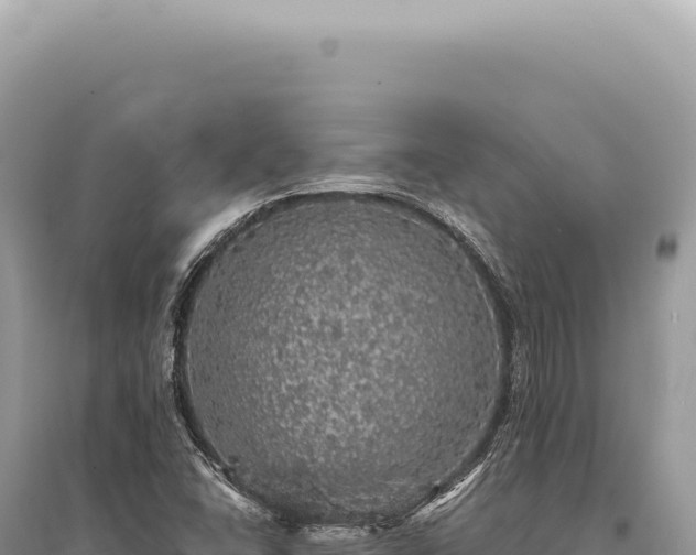 X0000095511406200712211230