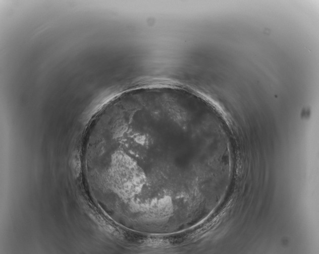 X0000095511407200712211230