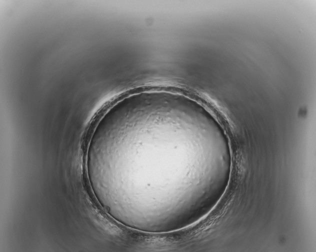 X0000095511408200712211230