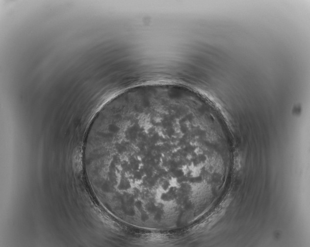 X0000095511409200712211230