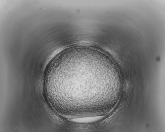 X0000095511410200712211230