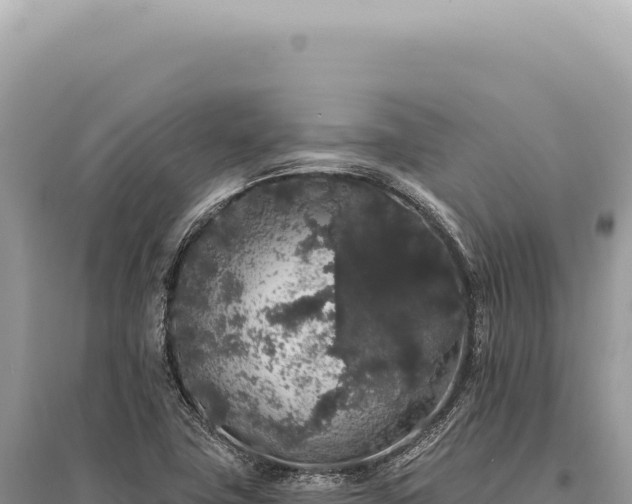 X0000095511411200712211230