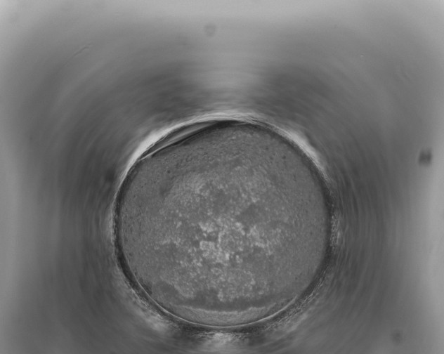 X0000095511412200712211230