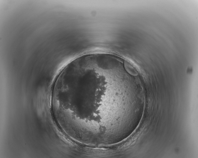 X0000095511413200712211230