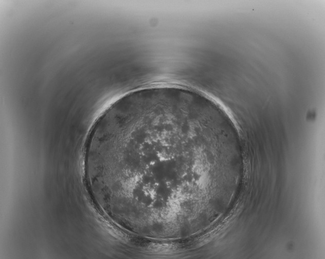 X0000095511415200712211230