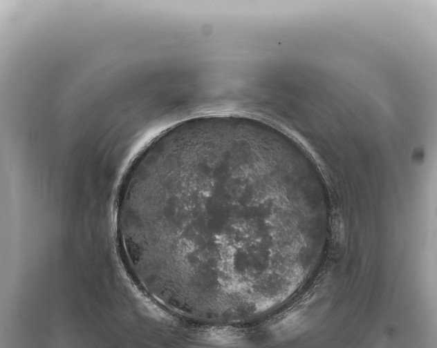 X0000095511416200712211230