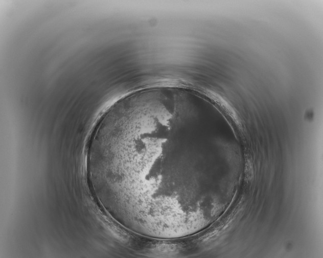 X0000095511419200712211230