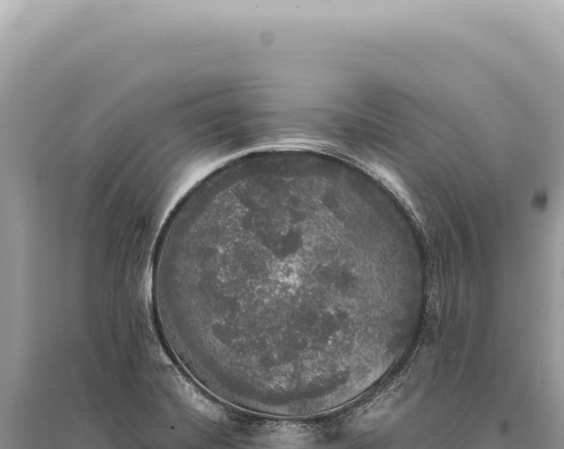X0000095511420200712211230