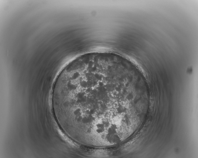 X0000095511421200712211230