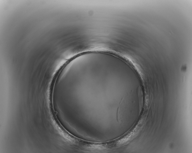 X0000095511422200712211230