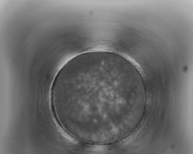 X0000095511423200712211230