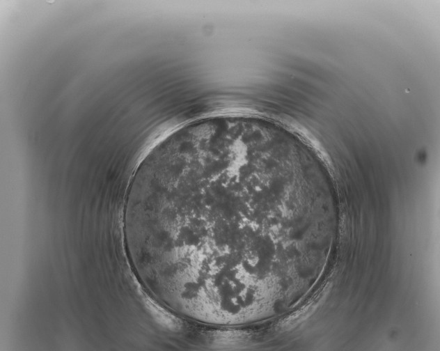 X0000095511425200712211230