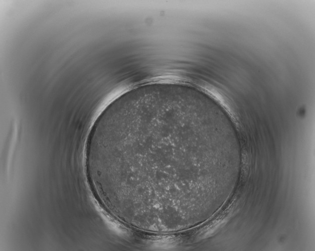 X0000095511426200712211230