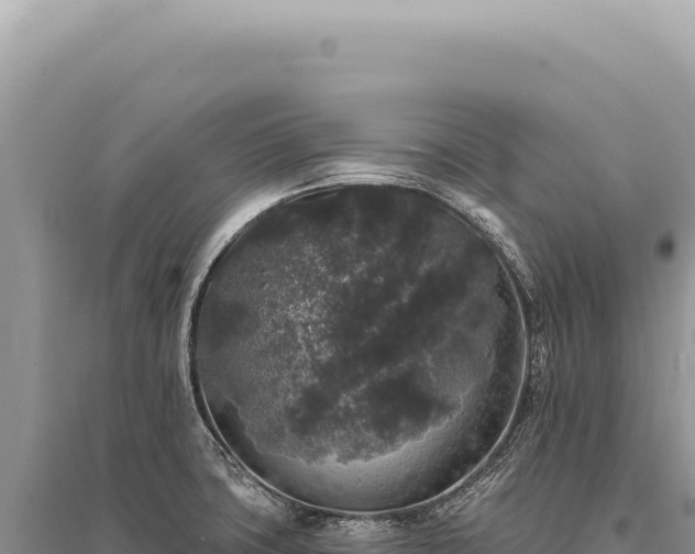 X0000095511427200712211230
