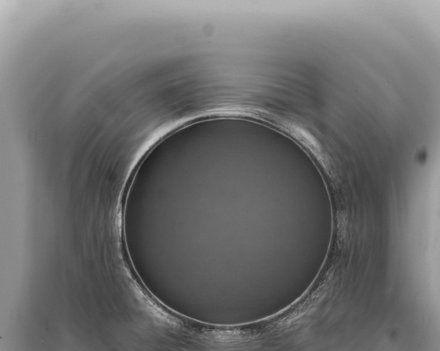 X0000095511428200712211230