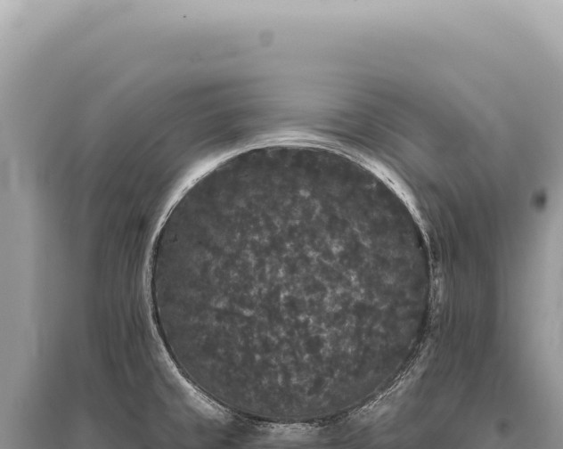 X0000095511429200712211230
