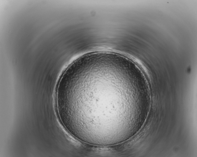 X0000095511432200712211230