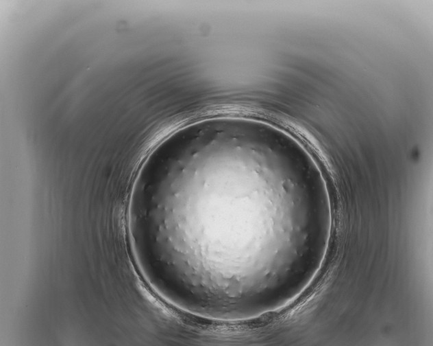 X0000095511433200712211230