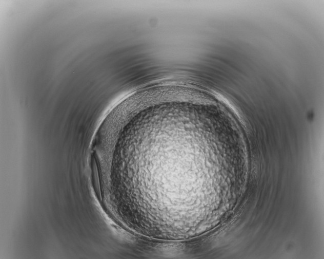 X0000095511434200712211230