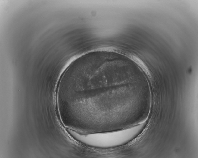 X0000095511436200712211230