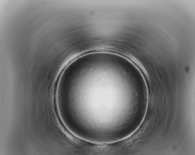 X0000095511437200712211230