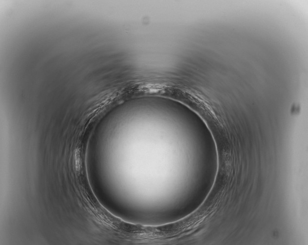X0000095511442200712211229