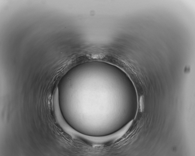 X0000095511443200712211229
