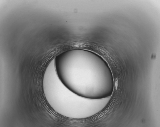 X0000095511444200712211229