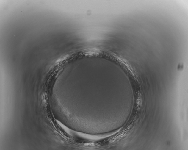 X0000095511445200712211229